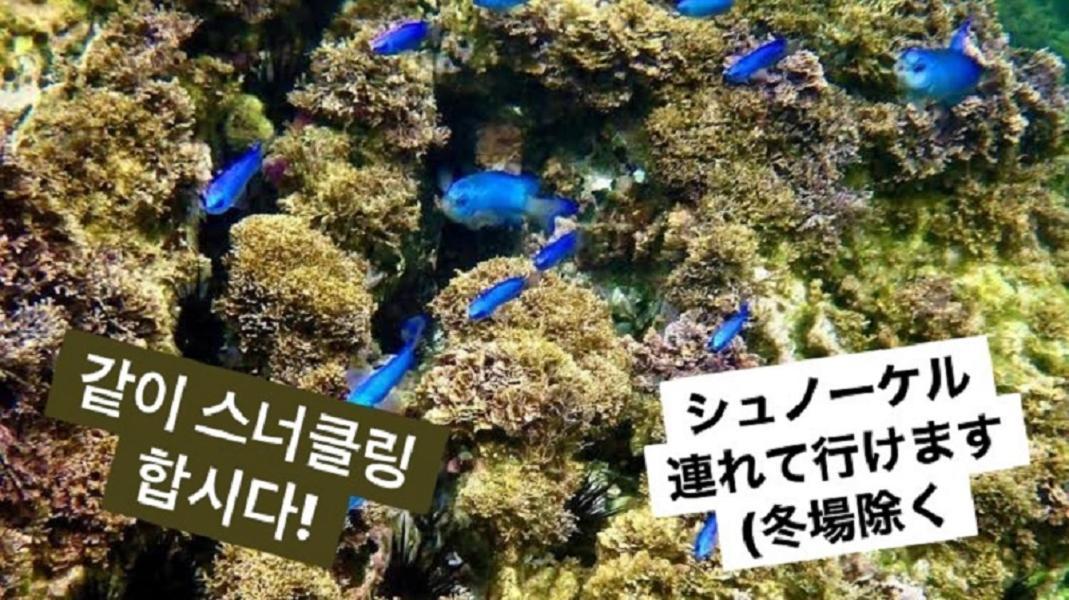 קמאקורה Plage Yuigahama מראה חיצוני תמונה