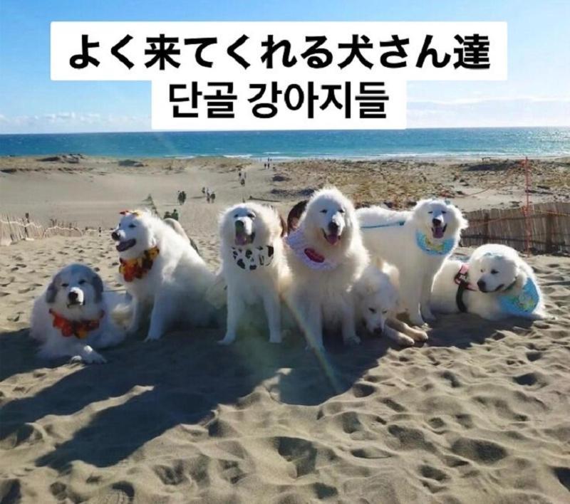 קמאקורה Plage Yuigahama מראה חיצוני תמונה